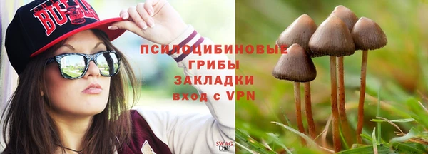 спайс Гусев