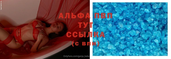 спайс Гусев