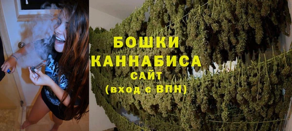 спайс Гусев