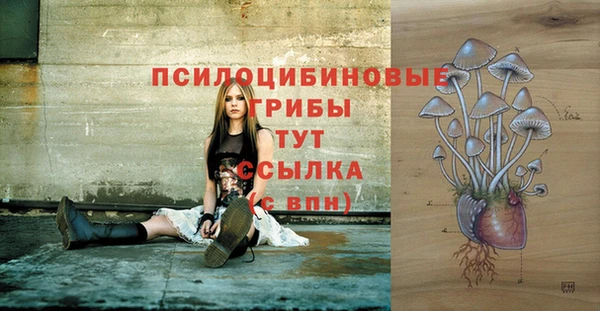 COCAINE Гусь-Хрустальный