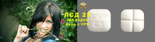 спайс Гусев