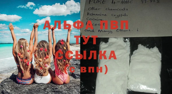 спайс Гусев