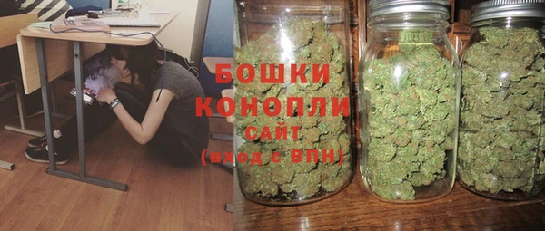 винт Гусиноозёрск