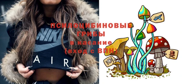 COCAINE Гусь-Хрустальный