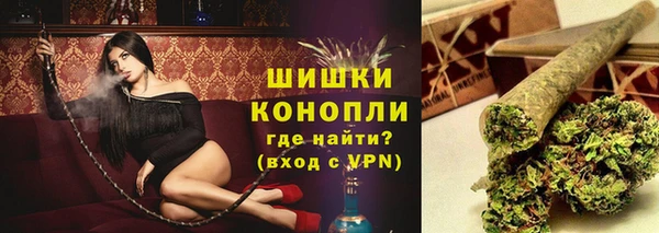 спайс Гусев