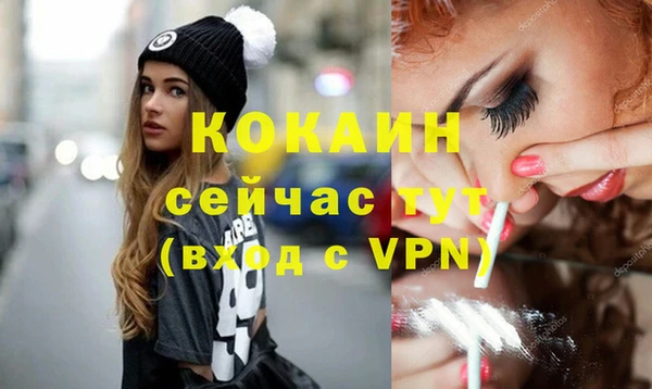 спайс Гусев