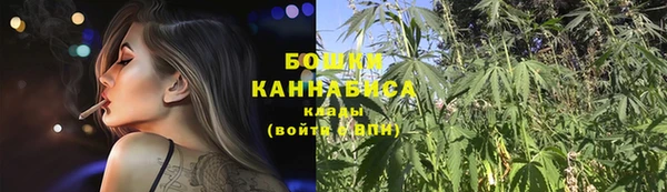 винт Гусиноозёрск