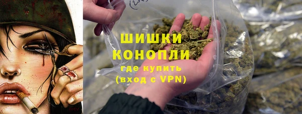 спайс Гусев