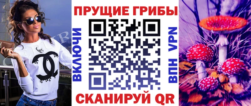 блэк спрут вход  Дмитров  Псилоцибиновые грибы Cubensis 